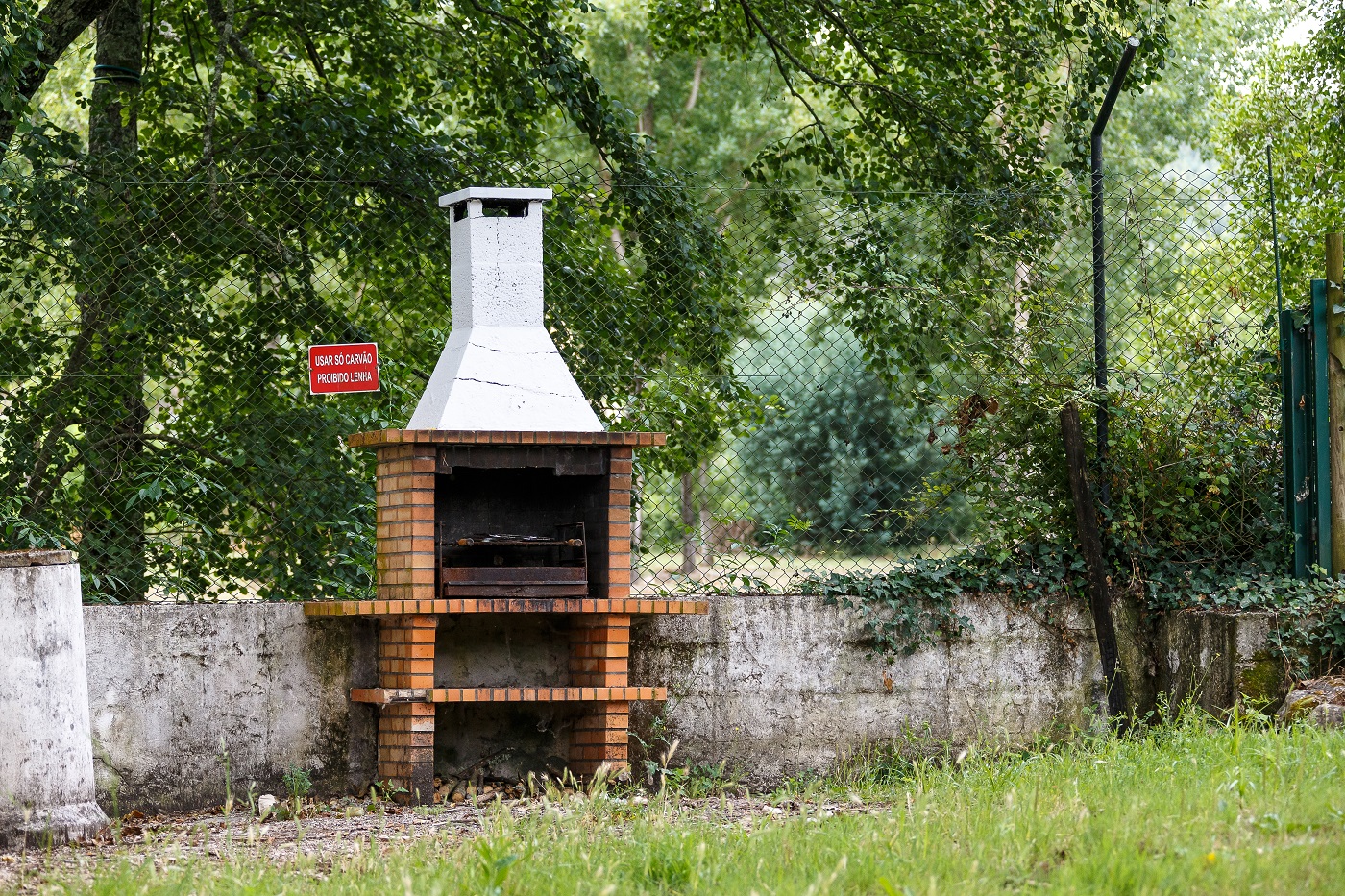 image10